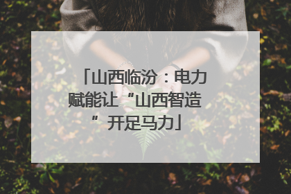 山西临汾:电力赋能让“山西智造”开足马力