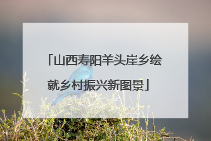山西寿阳羊头崖乡绘就乡村振兴新图景