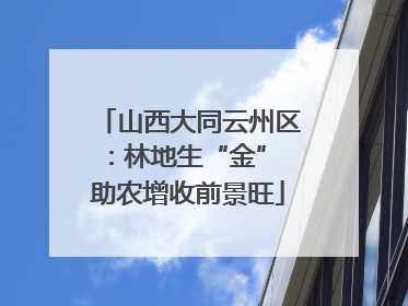 山西大同云州区：林地生“金” 助农增收前景旺