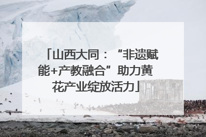 山西大同：“非遗赋能+产教融合”助力黄花产业绽放活力