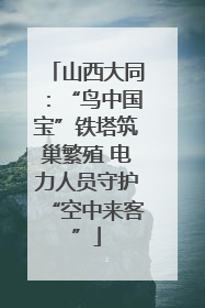 山西大同：“鸟中国宝”铁塔筑巢繁殖 电力人员守护“空中来客”