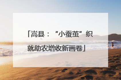 嵩县：“小蚕茧”织就助农增收新画卷