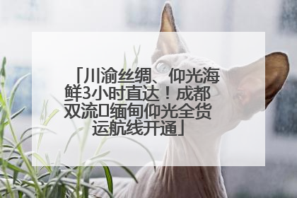 川渝丝绸、仰光海鲜3小时直达！成都双流⇌缅甸仰光全货运航线开通