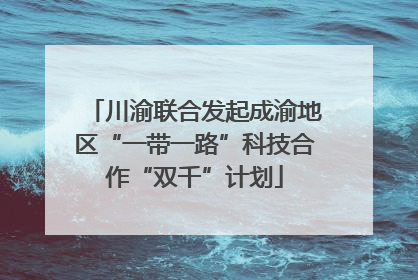 川渝联合发起成渝地区“一带一路”科技合作“双千”计划
