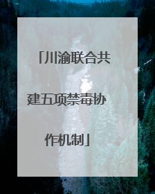 川渝联合共建五项禁毒协作机制