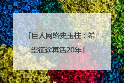 巨人网络史玉柱：希望征途再活20年