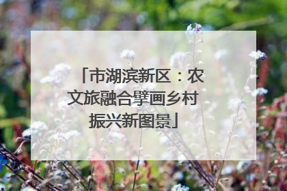 市湖滨新区：农文旅融合擘画乡村振兴新图景