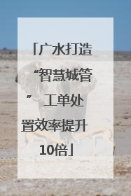 广水打造“智慧城管” 工单处置效率提升10倍