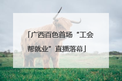 广西百色首场“工会帮就业”直播落幕