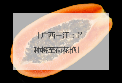 广西三江：芒种将至荷花艳