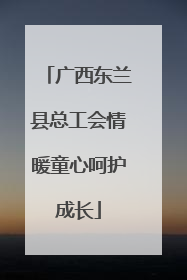 广西东兰县总工会情暖童心呵护成长