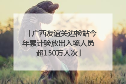 广西友谊关边检站今年累计验放出入境人员超150万人次