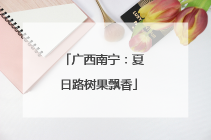 广西南宁：夏日路树果飘香