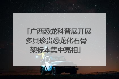 广西恐龙科普展开展 多具珍贵恐龙化石骨架标本集中亮相
