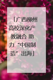广西柳州高校深化产教融合 助力“中国制造”出海