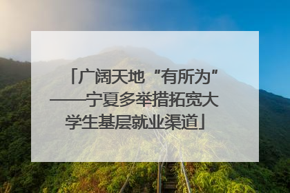 广阔天地“有所为”——宁夏多举措拓宽大学生基层就业渠道