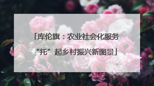 库伦旗：农业社会化服务“托”起乡村振兴新图景