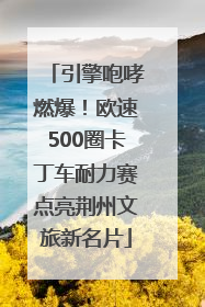 引擎咆哮燃爆！欧速500圈卡丁车耐力赛点亮荆州文旅新名片