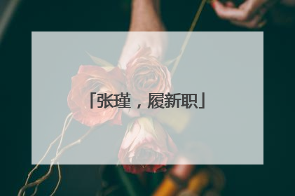 张瑾，履新职