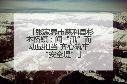 张家界市慈利县杉木桥镇：闻“汛”而动显担当 齐心筑牢“安全堤”
