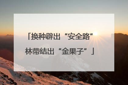 换种辟出“安全路” 林带结出“金果子”