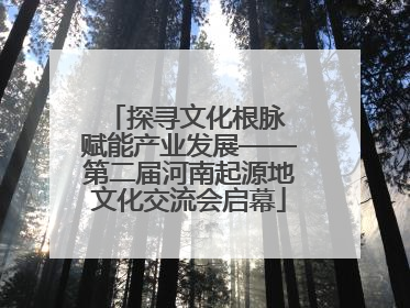 探寻文化根脉 赋能产业发展——第二届河南起源地文化交流会启幕