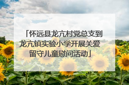 怀远县龙亢村党总支到龙亢镇实验小学开展关爱留守儿童慰问活动