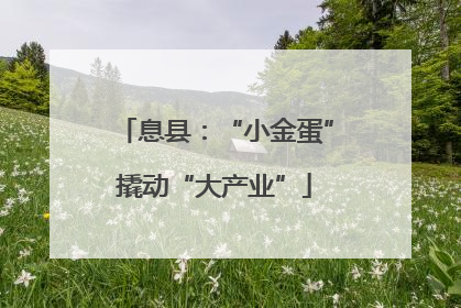 息县：“小金蛋”撬动“大产业”