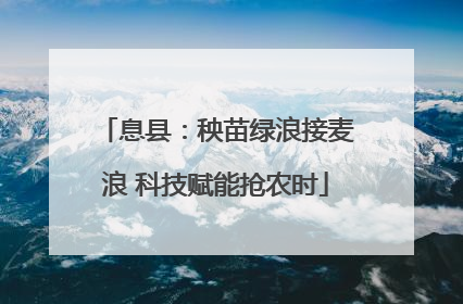 息县：秧苗绿浪接麦浪 科技赋能抢农时