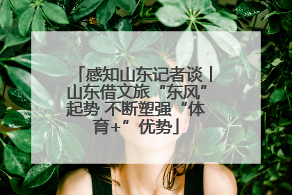 感知山东记者谈丨山东借文旅“东风”起势 不断塑强“体育+”优势