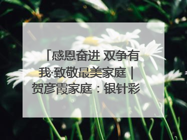 感恩奋进 双争有我·致敬最美家庭｜贺彦霞家庭：银针彩线绣出好日子