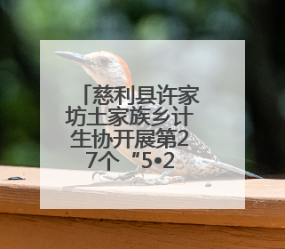 慈利县许家坊土家族乡计生协开展第27个“5•29会员活动日”系列活动
