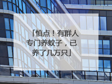 慎点！有群人专门养蚊子，已养了几万只