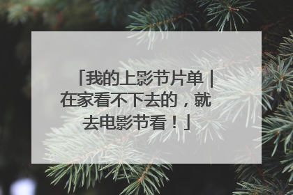 我的上影节片单｜在家看不下去的，就去电影节看！