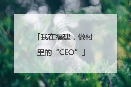 我在福建，做村里的“CEO”