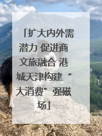 扩大内外需潜力 促进商文旅融合 港城天津构建“大消费”强磁场