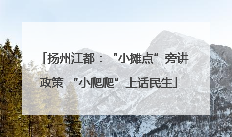 扬州江都：“小摊点”旁讲政策 “小爬爬”上话民生