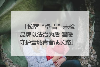 拉萨“卓·吉”未检品牌以法治为盾 温暖守护雪域青春成长路