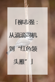 柳志强：从滴滴司机到“红色领头雁”