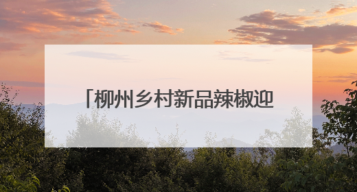 柳州乡村新品辣椒迎采收季 特色农业为乡村振兴注入活力
