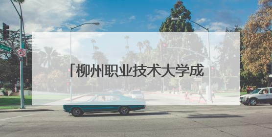 柳州职业技术大学成立低空经济产业学院