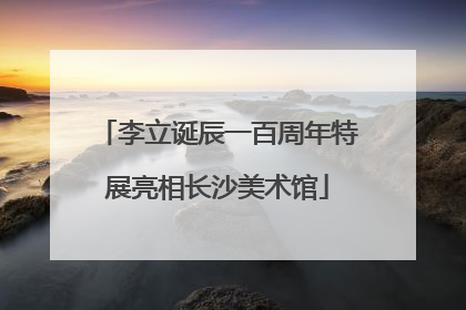 李立诞辰一百周年特展亮相长沙美术馆