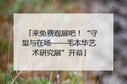 来免费观展吧！“守望与在场——毛本华艺术研究展”开幕