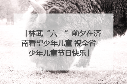 林武“六一”前夕在济南看望少年儿童 祝全省少年儿童节日快乐