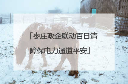 枣庄政企联动百日清障保电力通道平安