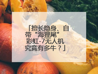 擅长隐身、自带“海狸尾” 彩虹-7无人机究竟有多牛？