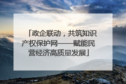 政企联动，共筑知识产权保护网——赋能民营经济高质量发展