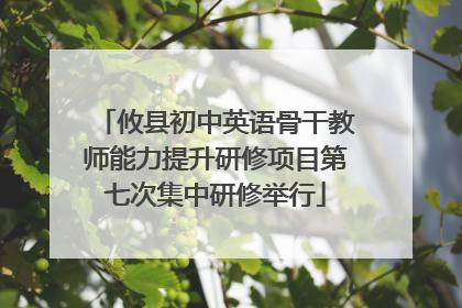 攸县初中英语骨干教师能力提升研修项目第七次集中研修举行