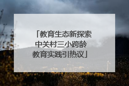 教育生态新探索 中关村三小跨龄教育实践引热议