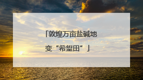 敦煌万亩盐碱地变“希望田”